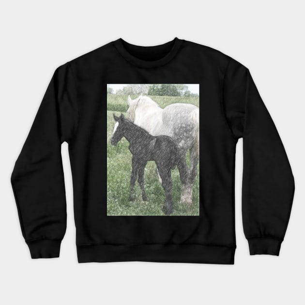 Percheron Colt And Mare In Pasture Digital Art Crewneck Sweatshirt by ConniSchaf